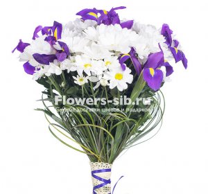 Irises of love 